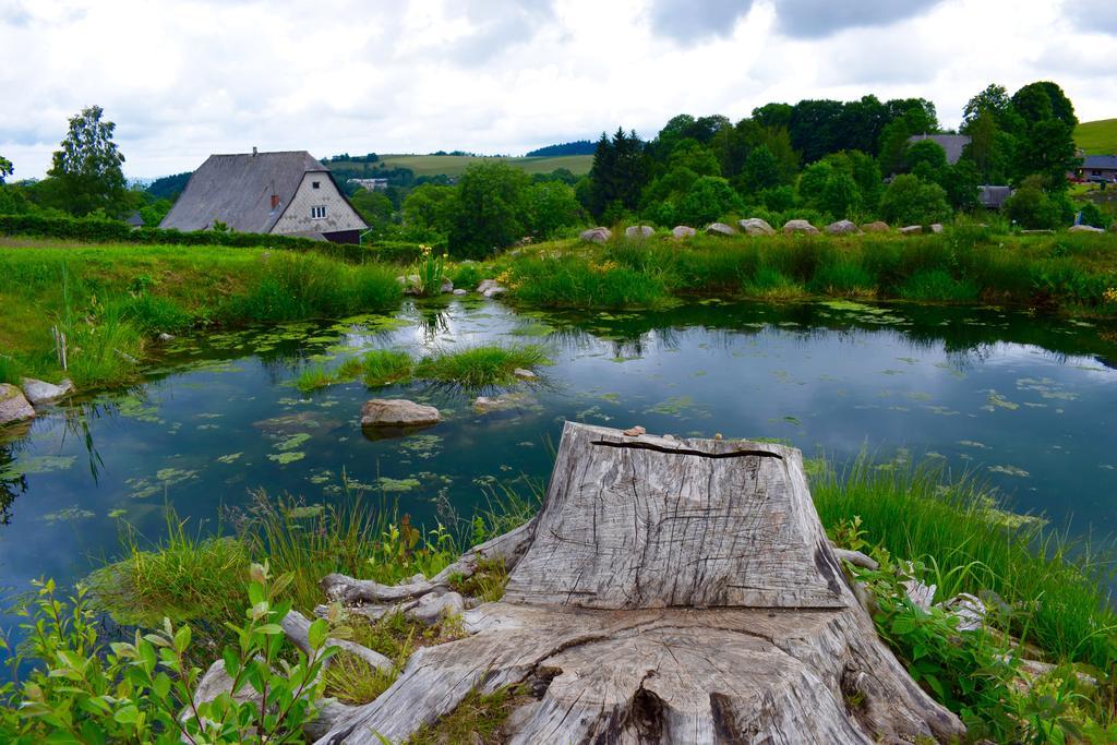 Apartmány pod sjezdovkou Cenkovice Exterior foto